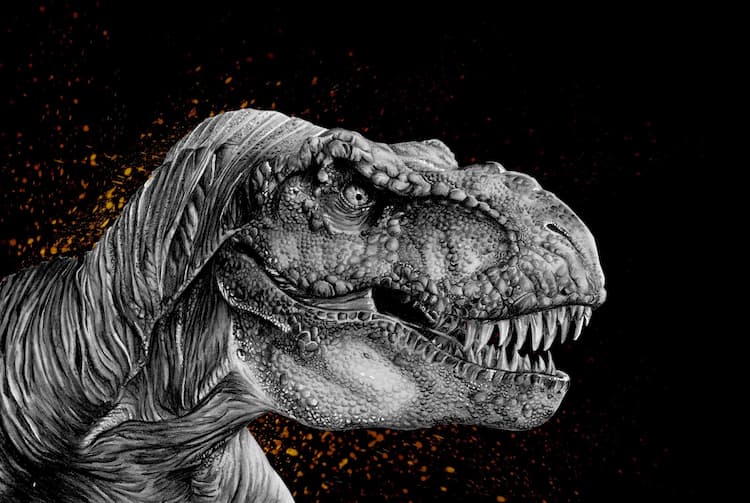 T-Rex drawn by Lily K