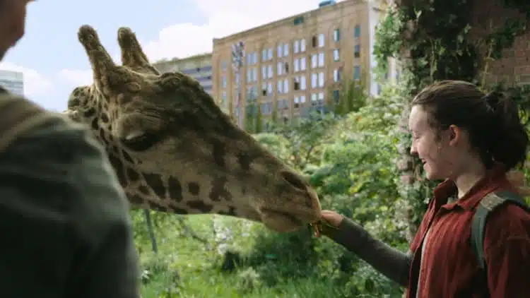 Joel and Ellie Looking at the Giraffes Poster for Sale by