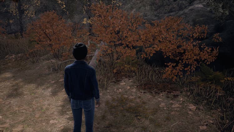 The character is standing in front of fall leaves in the woods